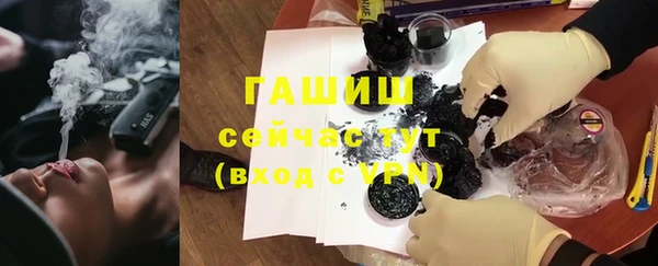 spice Ельня
