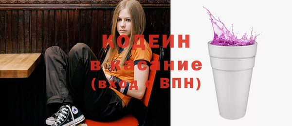 spice Ельня