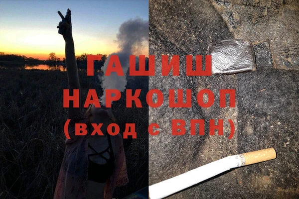 spice Ельня