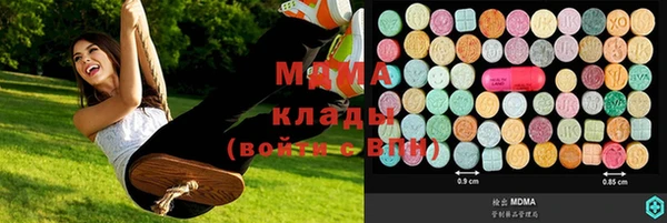 spice Ельня
