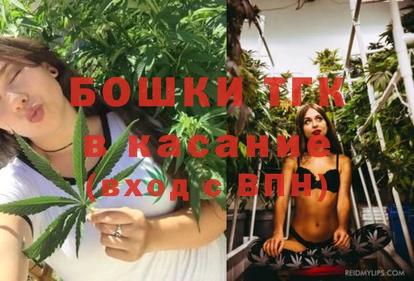 Альфа ПВП Елизово