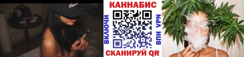 где продают наркотики  МЕГА ссылка  Канабис AK-47  Каргополь 